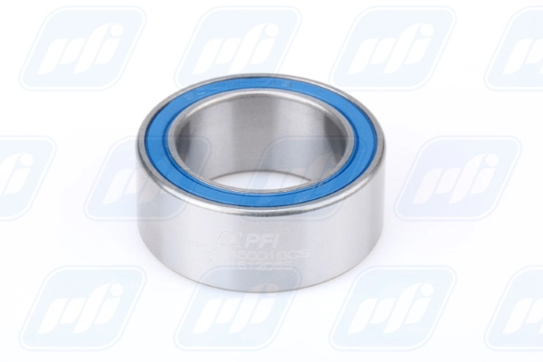 PFI PC30450018CS