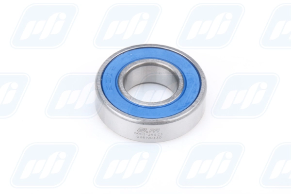 PFI 6002-2RS C3