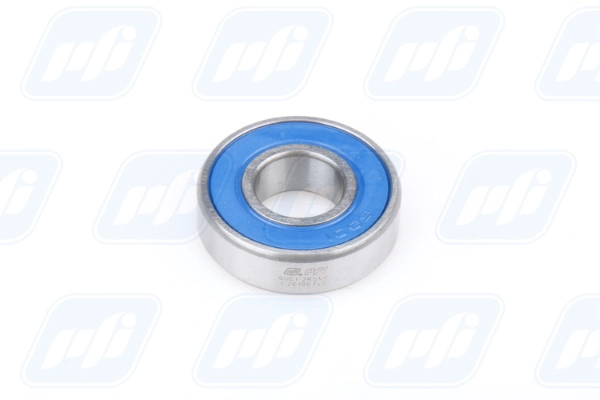 PFI 6001-2RS C0