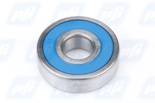 PFI 6303-2RS C0