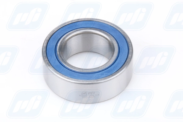 PFI 63006-2RS C3
