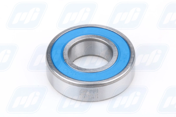 PFI 6004-2RS C3