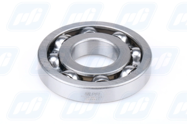 PFI PC256200113CS