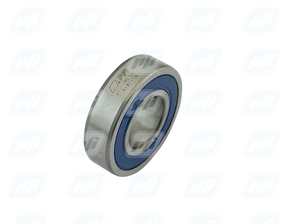 PFI 6002-2RS C0