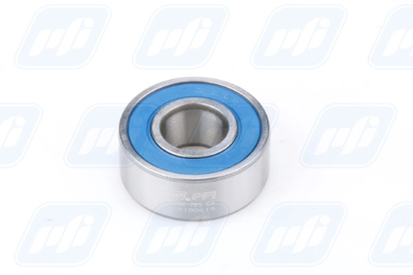 PFI 62202-2RS C3