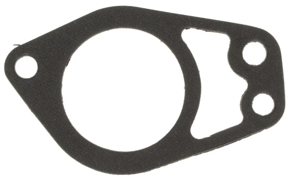 MAHLE C24551