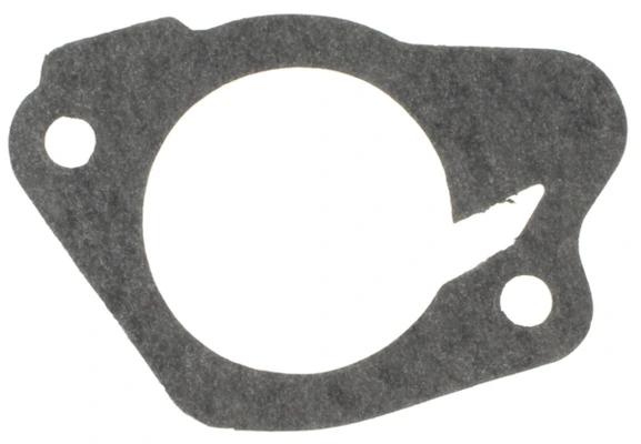MAHLE G30817