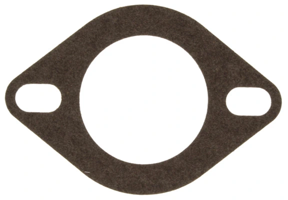 MAHLE C24109