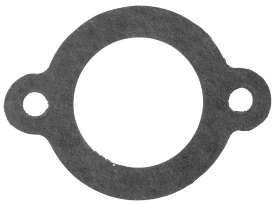 MAHLE C30719