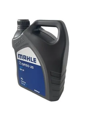 MAHLE QFEO 25