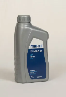 MAHLE QFEO 13