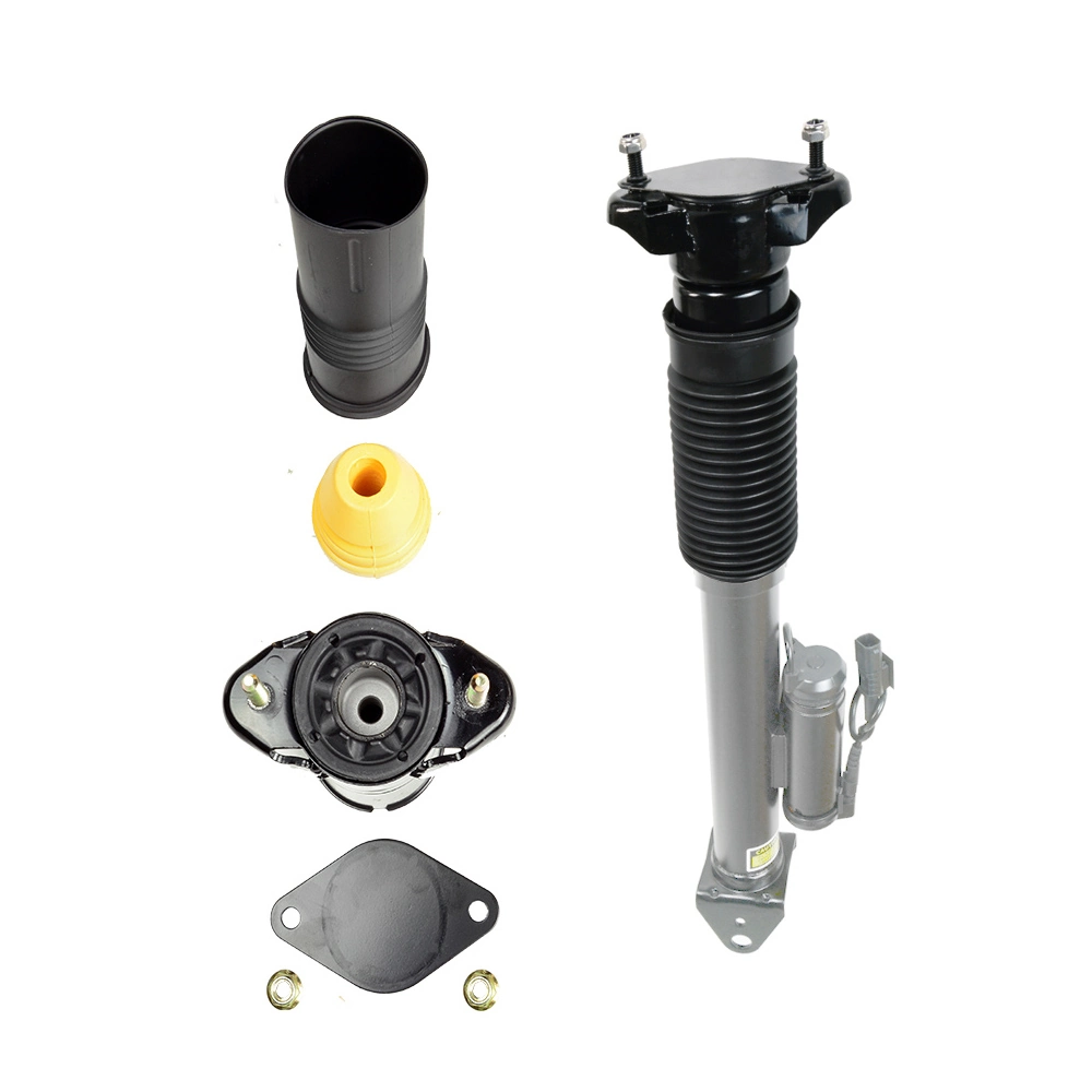 Miessler Automotive 3601-01-3031