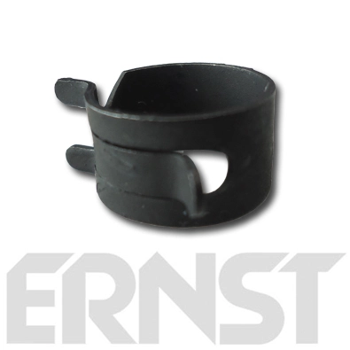 ERNST 412025