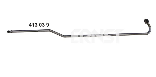 ERNST 413039