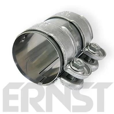 ERNST 202428