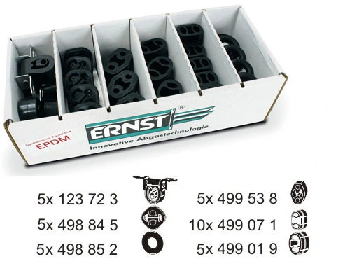 ERNST 460873