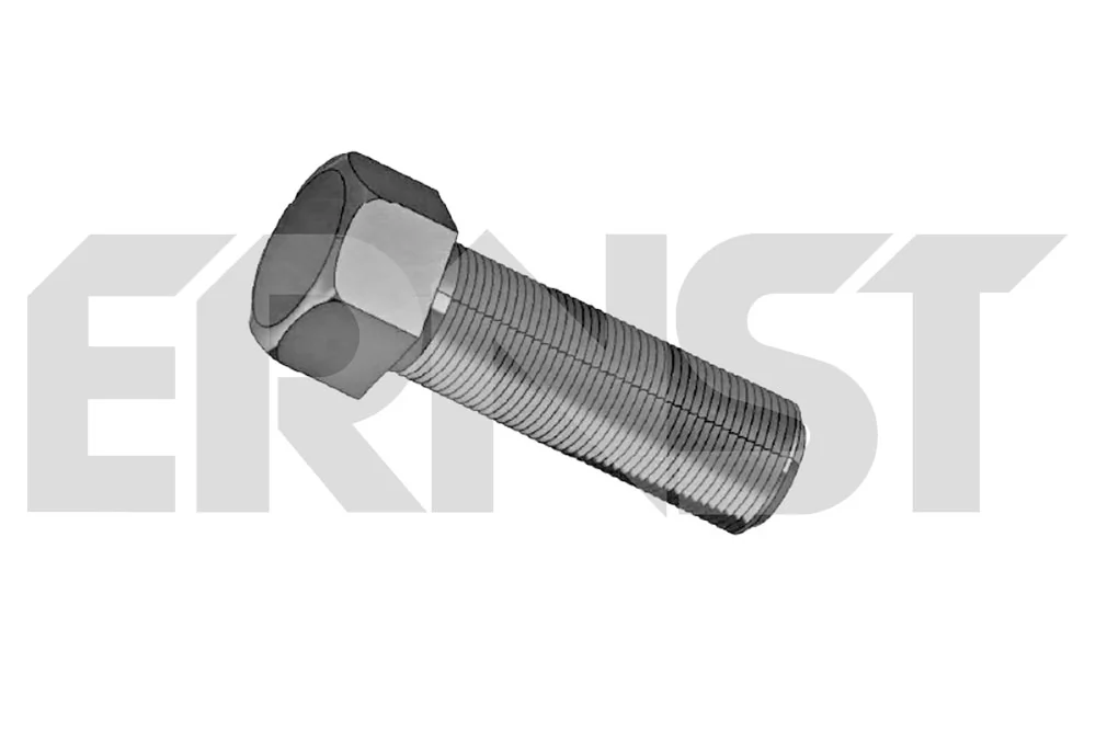 ERNST 430234