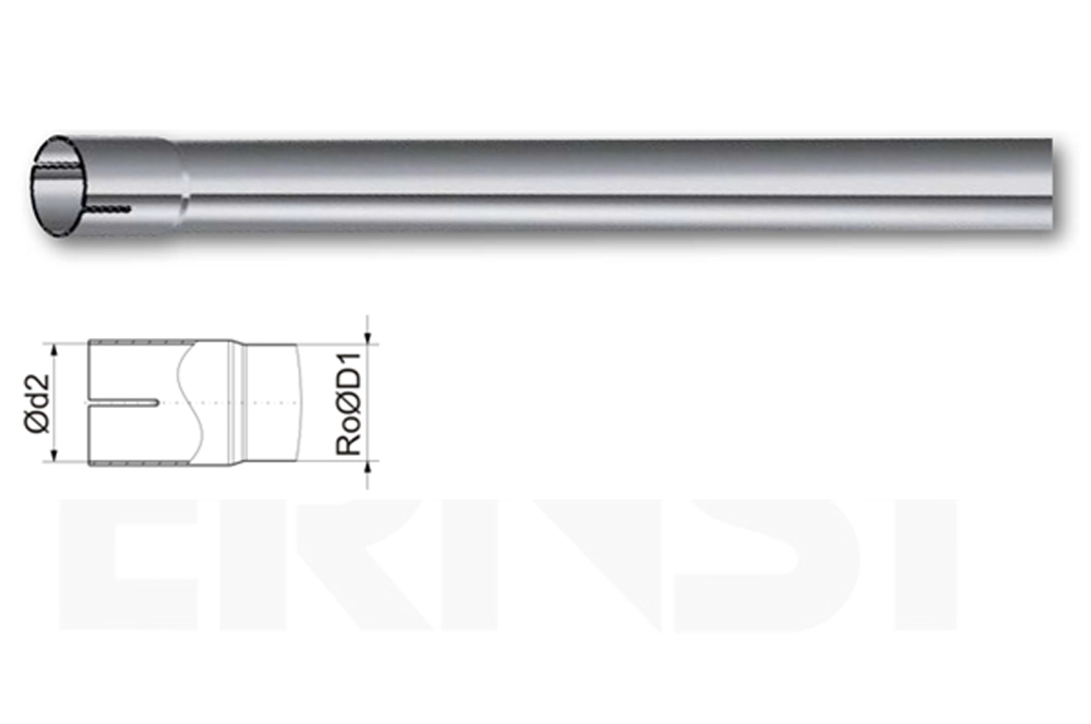 ERNST 461009
