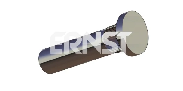 ERNST 490719