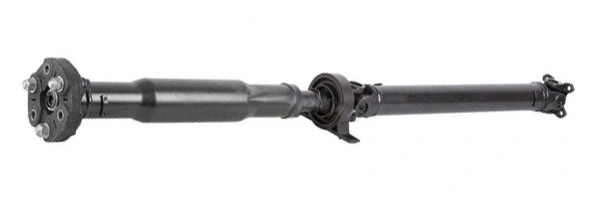 LIZARTE PS0061