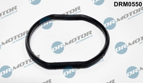 LIZARTE DRM0550