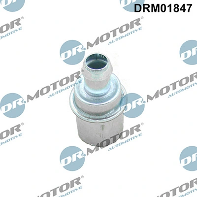 LIZARTE DRM01847