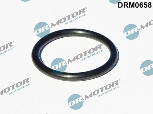 LIZARTE DRM0658
