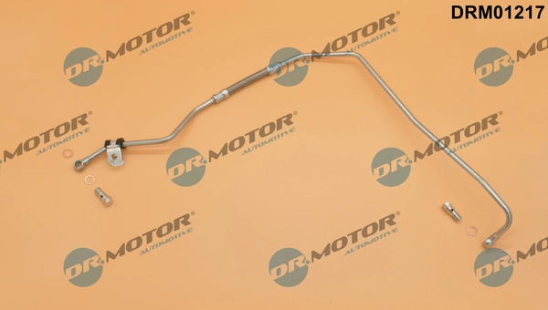 LIZARTE DRM01217