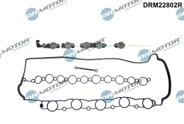 LIZARTE DRM22802R
