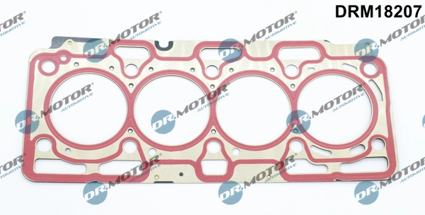 LIZARTE DRM18207