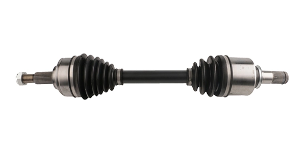 LIZARTE DS0765
