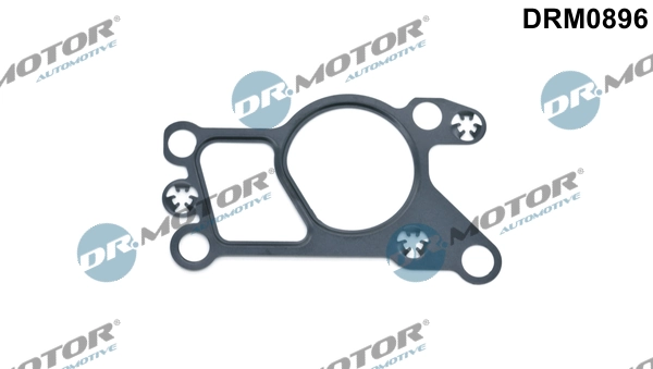 LIZARTE DRM0896