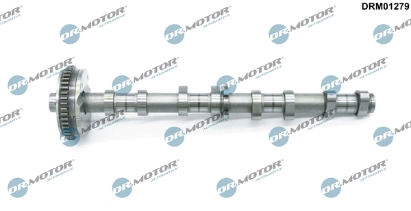 LIZARTE DRM01279