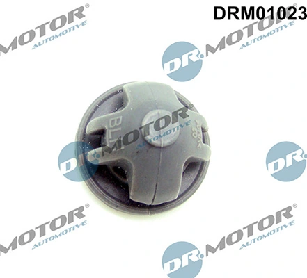 LIZARTE DRM01023
