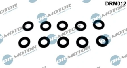 LIZARTE DRM012