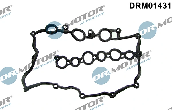 LIZARTE DRM01431