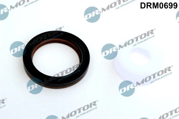 LIZARTE DRM0699