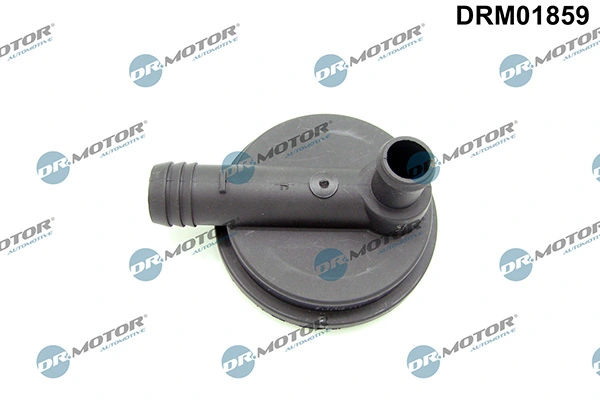 LIZARTE DRM01859