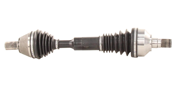 LIZARTE DS1197