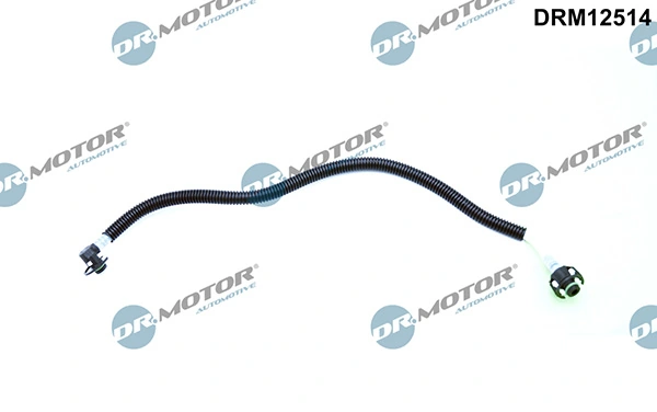 LIZARTE DRM12514