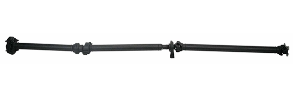 LIZARTE PS0058