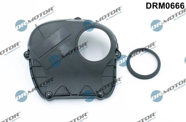 LIZARTE DRM0666