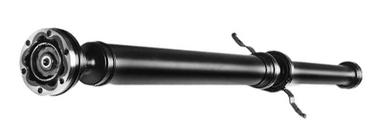LIZARTE PS0069