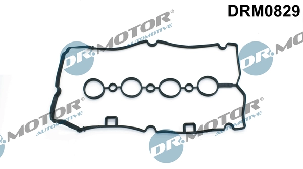 LIZARTE DRM0829