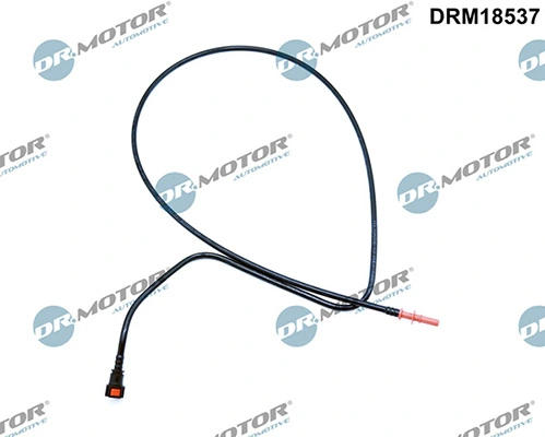 LIZARTE DRM18537