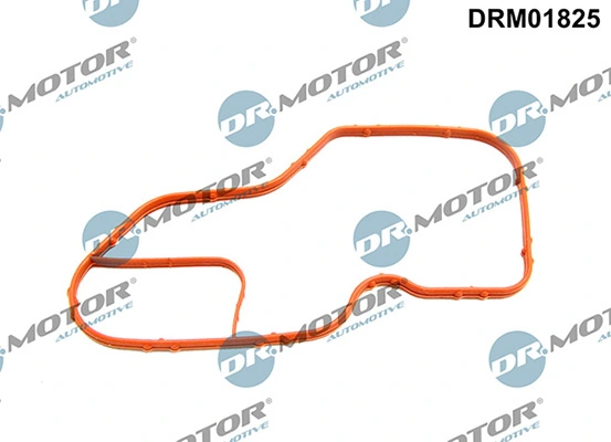 LIZARTE DRM01825