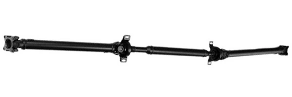 LIZARTE PS0001