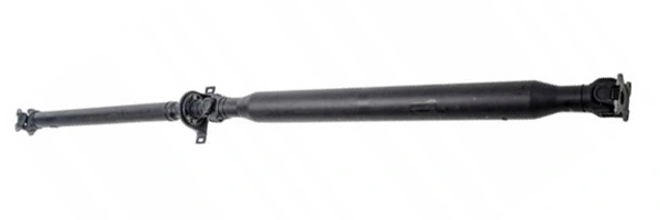 LIZARTE PS0028