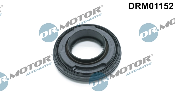 LIZARTE DRM01152