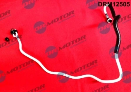 LIZARTE DRM12505